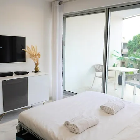 Magnifique Studio, Piscine, Parking By Palmazur Cannes