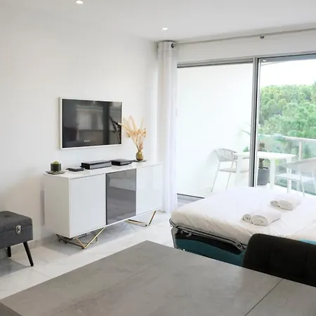 Apartment Magnifique Studio, Piscine, Parking By Palmazur Cannes